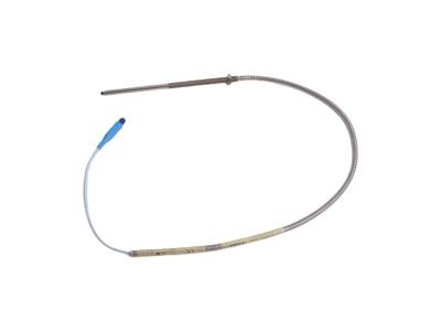 Bently Nevada 330910-10-22-10-01-CN