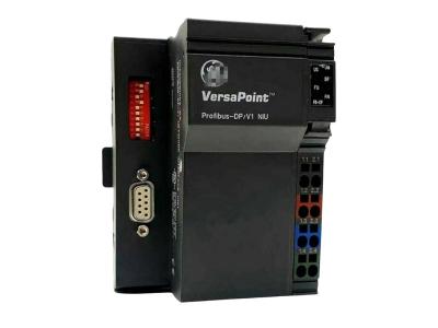 GE Fanuc IC220PBI002