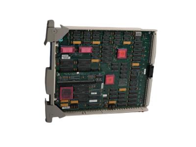 51304685-100