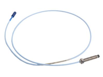 Bently Nevada 330101-00-20-10-11-00