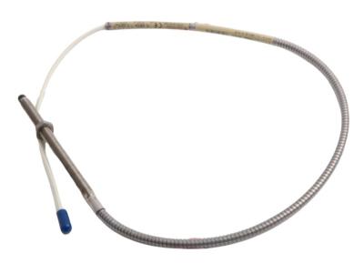 Bently Nevada 22810-00-0610-02