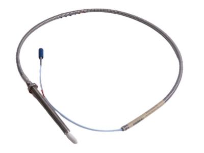 Bently Nevada 330910-00-10-50-02-00