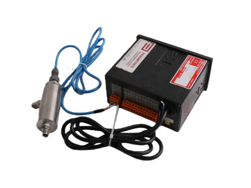 Panametrics MTS5-331-10