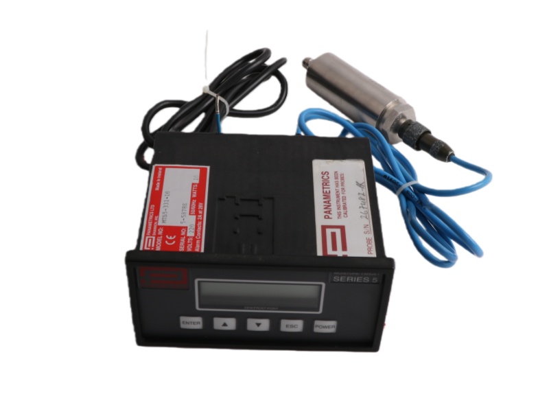 Panametrics MTS5-331-10