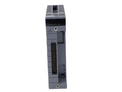 Yokogawa AAI841-H00 S2