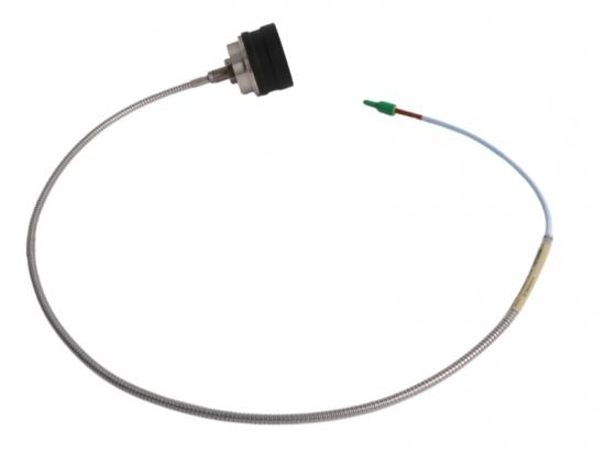 Bently Nevada 330876-02-10-01-00